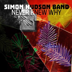 Single 'Never Knew Why' artwork